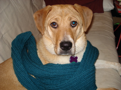 turquoise-ribbed-scarf.jpg