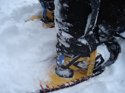 maddy-snowshoes.jpg