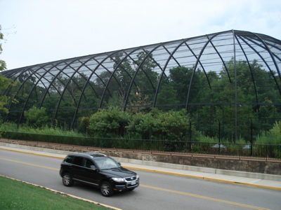 birdcage carforscale