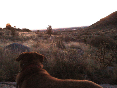 foothillssunsetenhanced