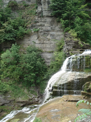treman falls