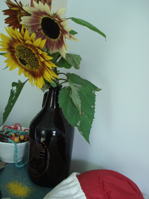agingsunflowers