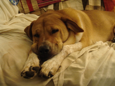 bohfloppylips furtherback