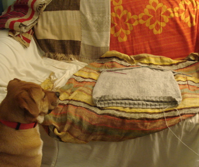 plain and simple boh supervise1