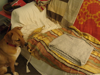 plain and simple boh supervise2