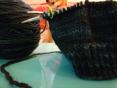 macro windschief 2 and boh