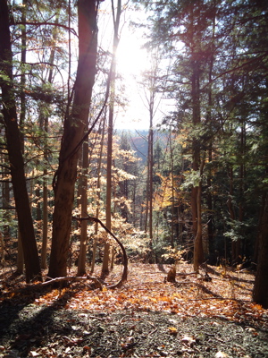 goodwalk4 backlit view