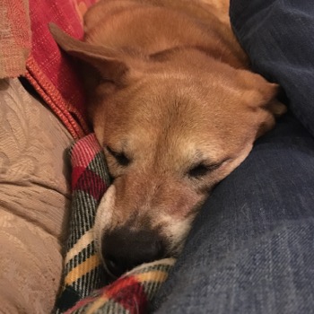 beforemarchover - 12